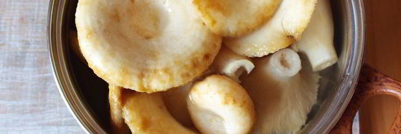 икра из груздей