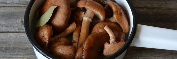 икра из опят замороженная