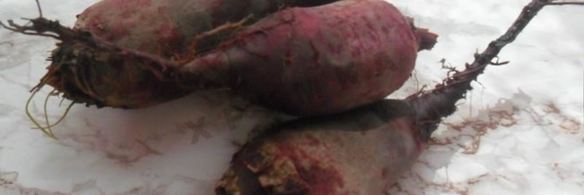 кабачковая икра со свеклой