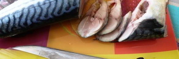 карпаччо из скумбрии