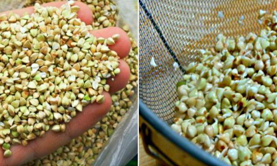 Рецепт хумуса из зеленой гречки