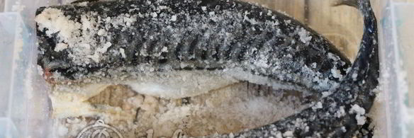 маринованная скумбрия