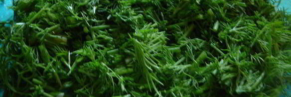 омлет с чесночными стрелками