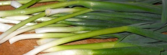 омлет с одуванчиками