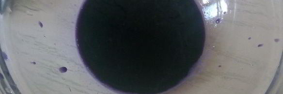 цветной омлет