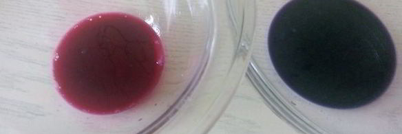 цветной омлет