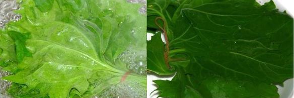 японский ролл-омлет со шпинатом