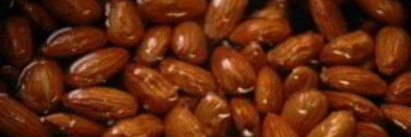 паштет из кролика