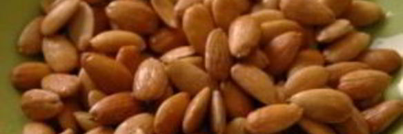 паштет из кролика