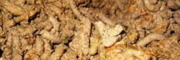 паштет из печени