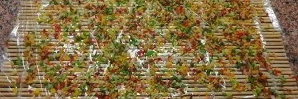 десертные роллы тропикана