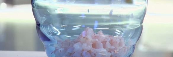 роллы из гречневых блинов с креветками