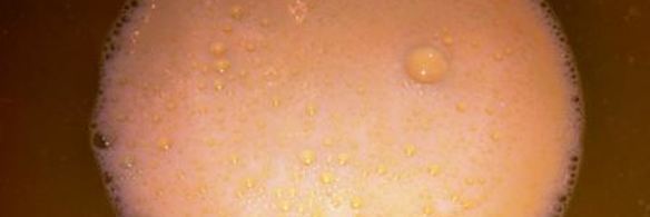 роллы с творогом и фруктами