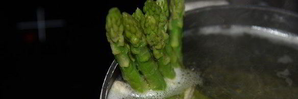 семга с соусом эскарго и овощными роллами