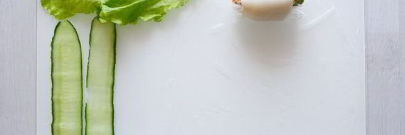 спринг-роллы с кальмарами и тунцом