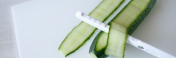 спринг-роллы с кальмарами и тунцом