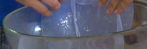 спринг-роллы с уткой