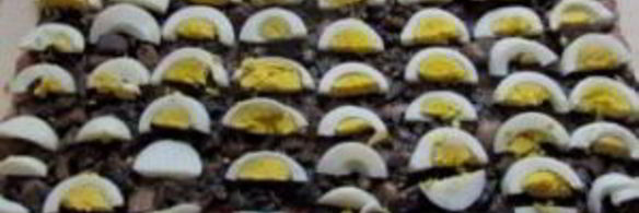 мясной рулет в тесте