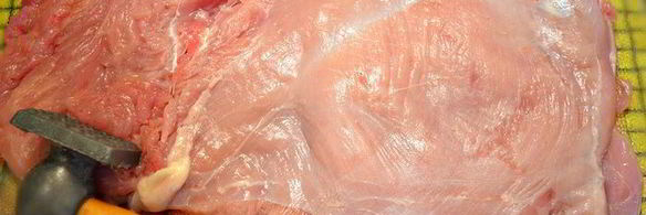 новогодний рулет из индейки