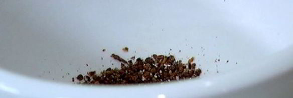 сладкая тортилья с клубникой, малиной и ежевикой