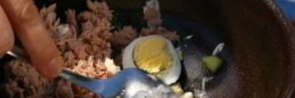 сэндвич с тунцом