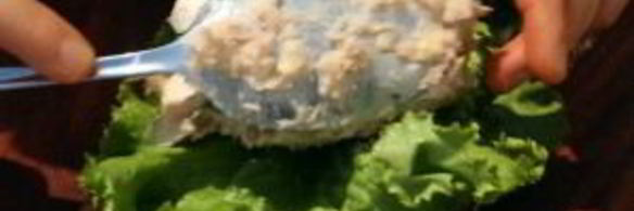 сэндвич с тунцом