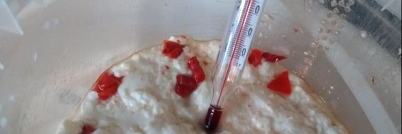 сыр качотта с вялеными помидорами