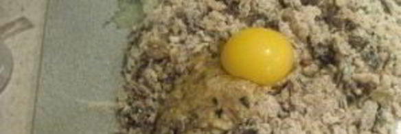 тарталетки с креветками и авокадо