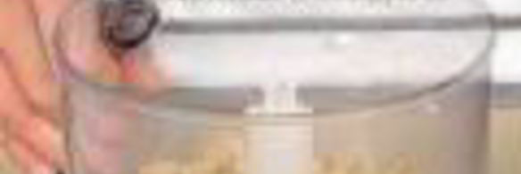 тарталетки с персиками