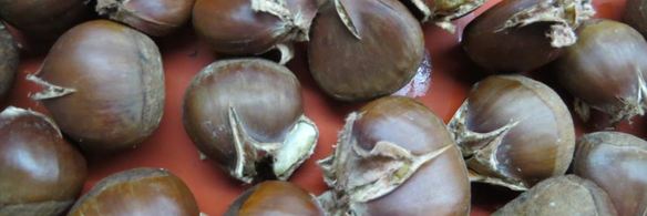 шоколадно-каштановый тарт