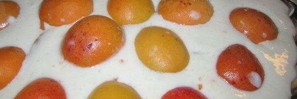 тарт абрикосовый кисленький