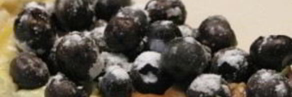 тарт с голубикой