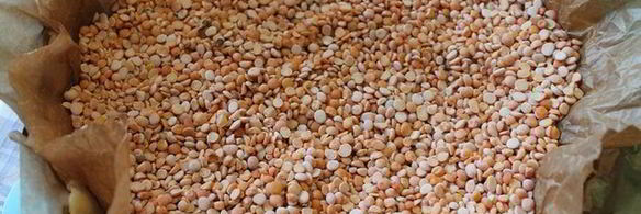 тарт со свеклой и брынзой