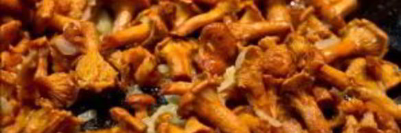 яичница с лисичками