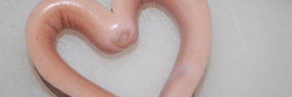 яичница с сосиской breakfast for you