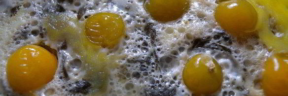 яичница со шпинатом и физалисом