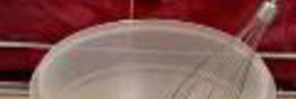 закуска божьи коровки