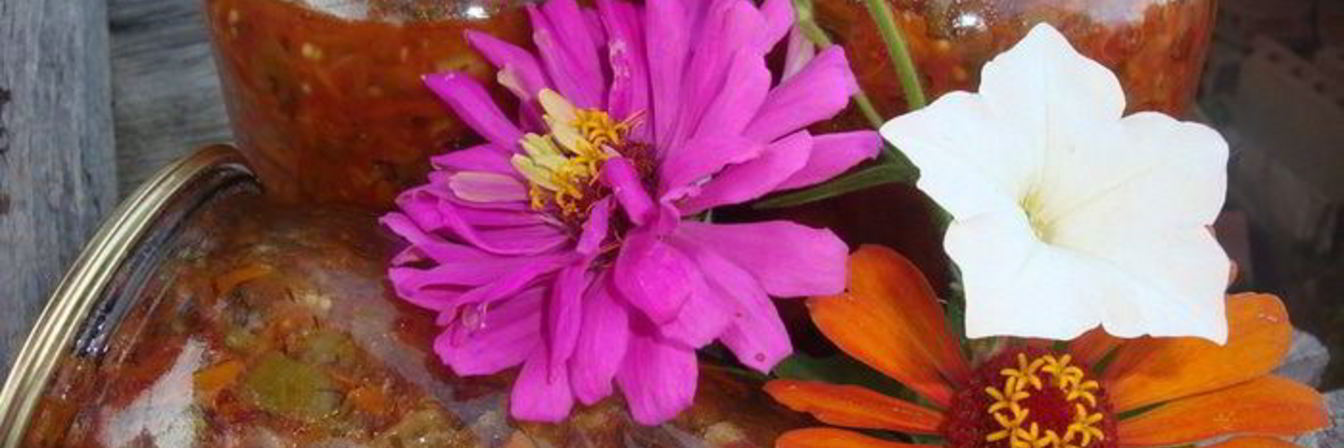 Закуска из баклажанов на зиму