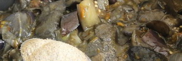 закуска из лесных грибов с баклажанами