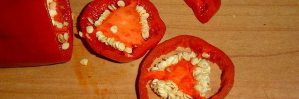 закуска пивная кружка