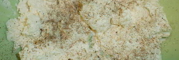 закуска жемчужина