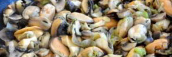 жульен из рапанов