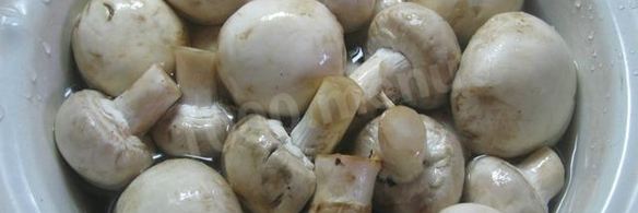 жульен парижский шик