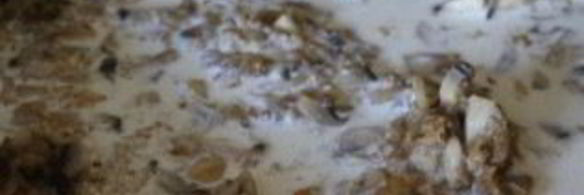 жульен с кабачками