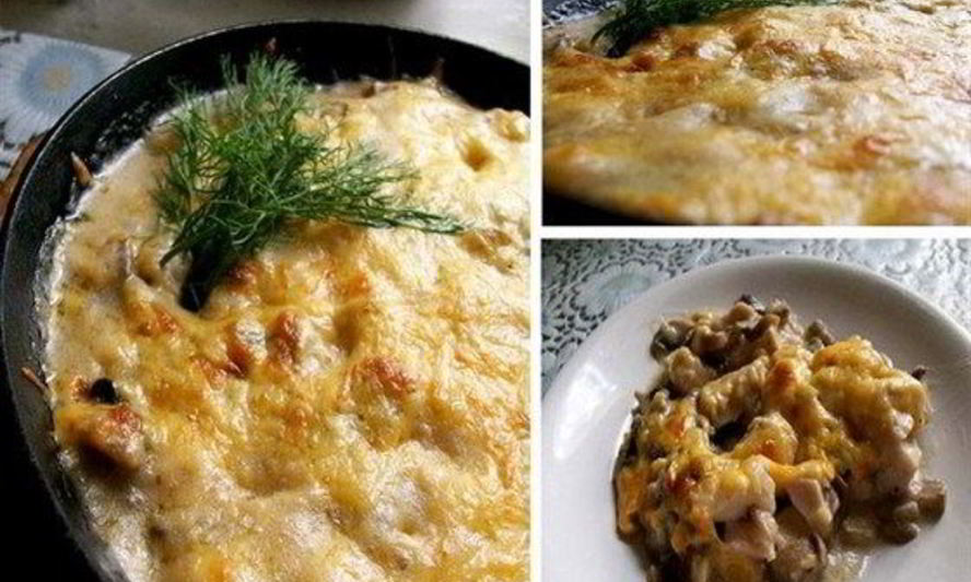 Рецепт жюльена с курицей, грибами и сыром